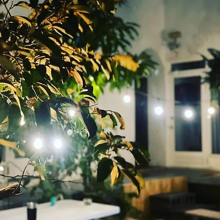 Appartement South 茂-寵物友善